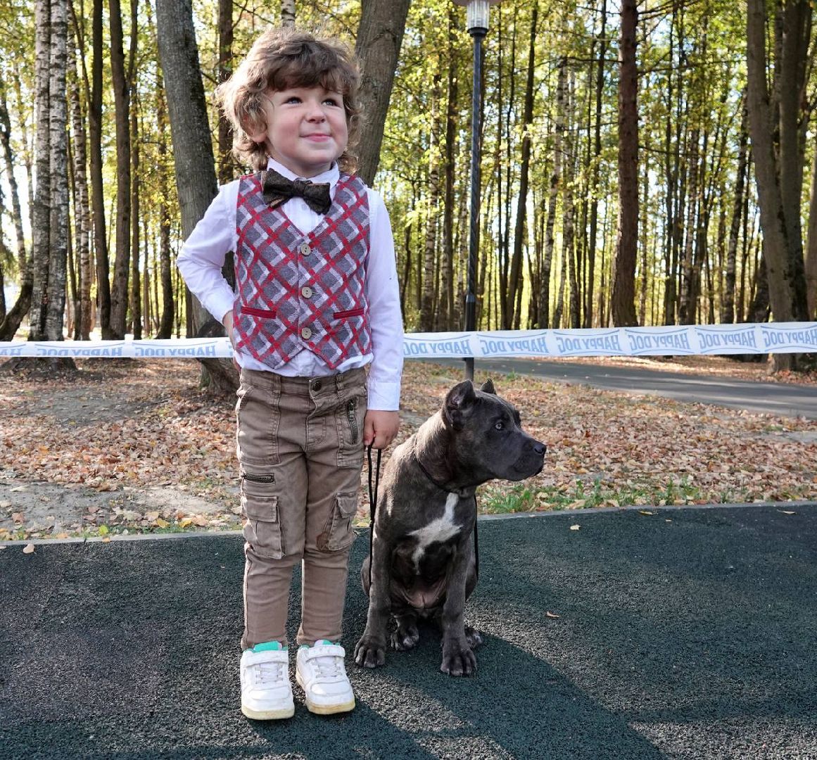 Щенки, Элита, Сергиев Посад, Парки МО, Парк, Собаки,Животные,