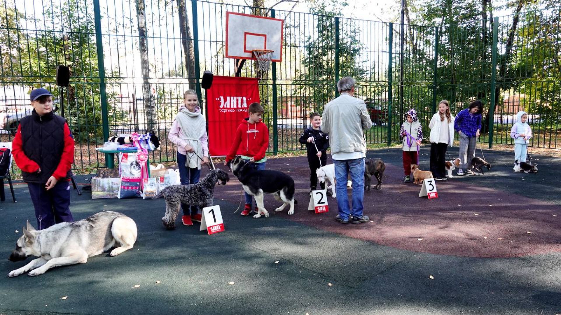 Щенки, Элита, Сергиев Посад, Парки МО, Парк, Собаки,Животные,