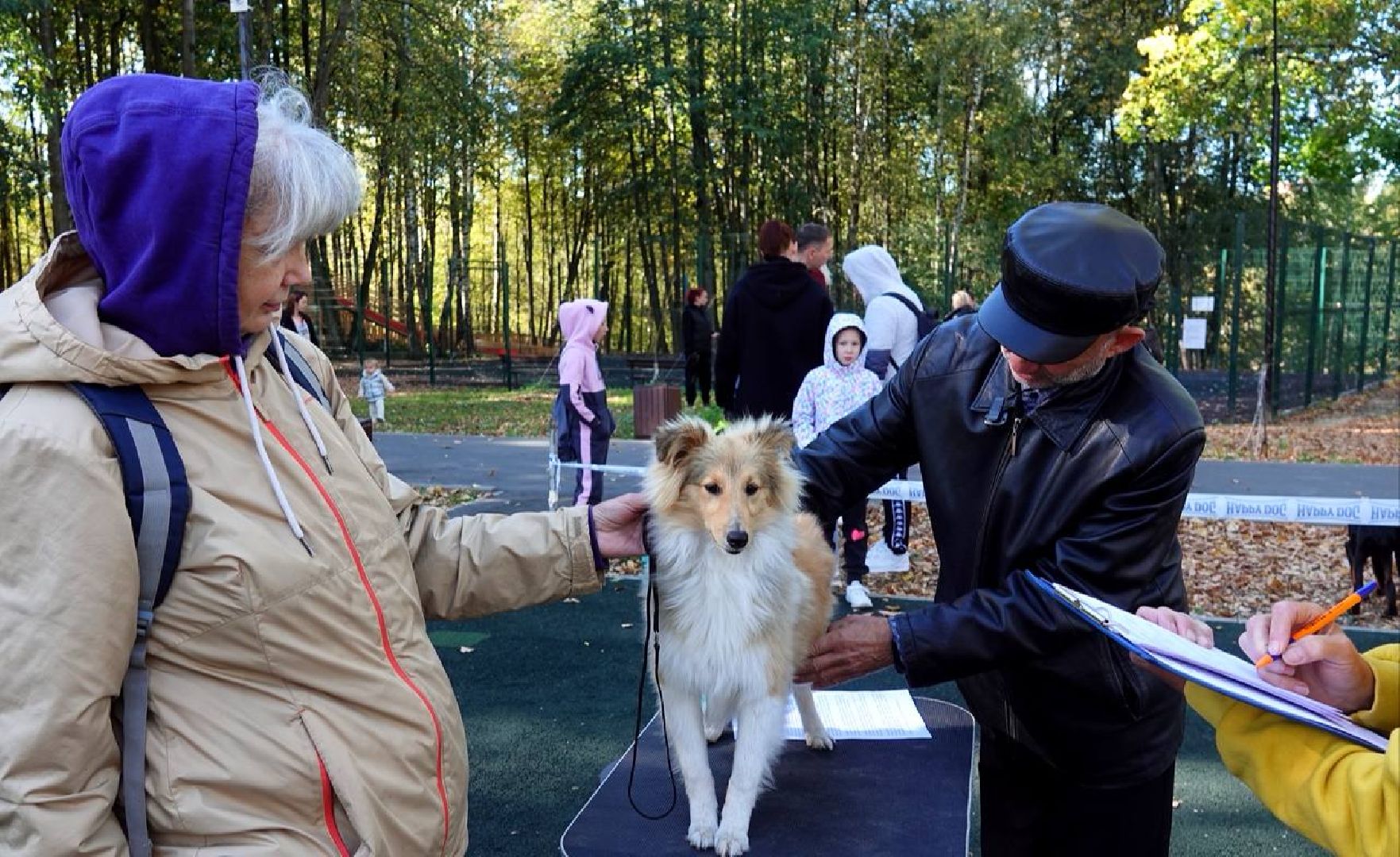 Щенки, Элита, Сергиев Посад, Парки МО, Парк, Собаки,Животные,