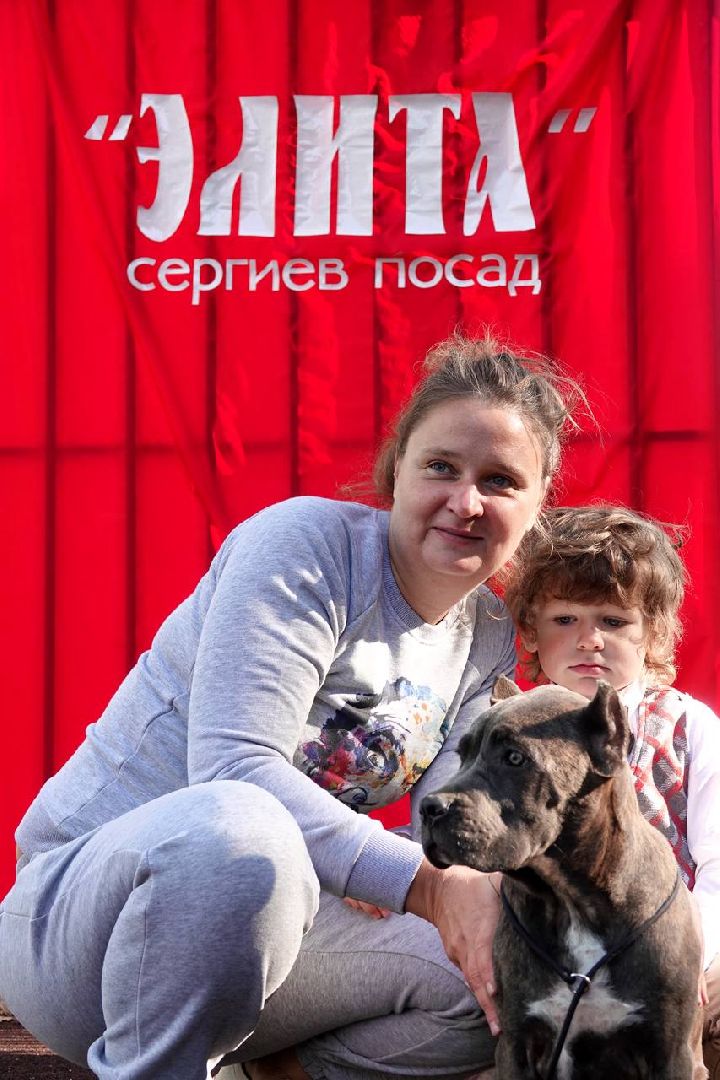 Щенки, Элита, Сергиев Посад, Парки МО, Парк, Собаки,Животные,