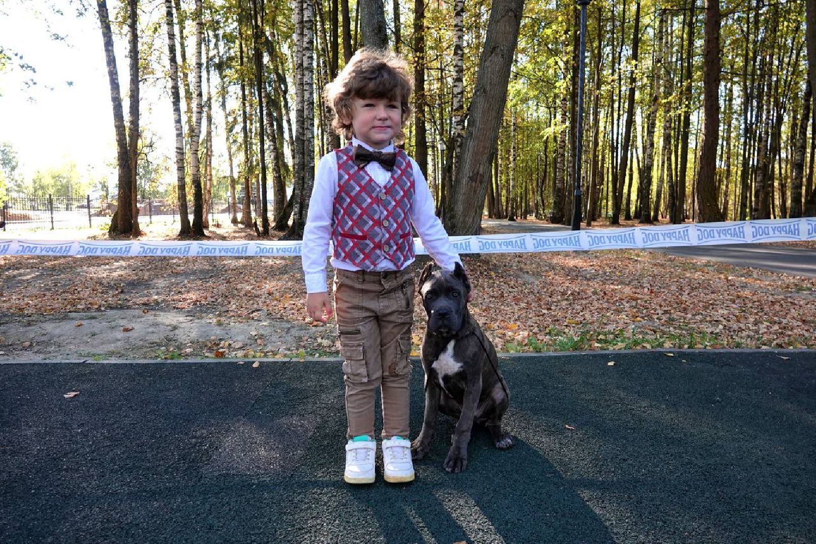 Щенки, Элита, Сергиев Посад, Парки МО, Парк, Собаки,Животные,