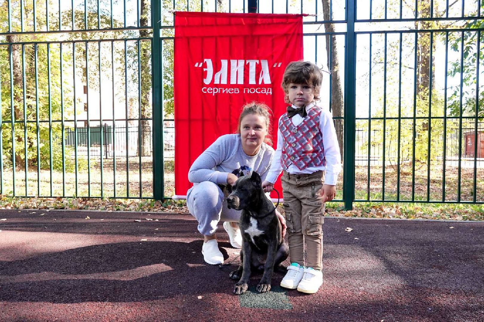 Щенки, Элита, Сергиев Посад, Парки МО, Парк, Собаки,Животные,