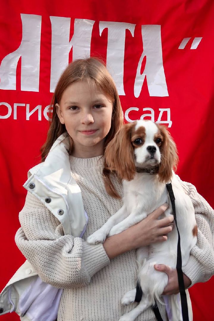 Щенки, Элита, Сергиев Посад, Парки МО, Парк, Собаки,Животные,