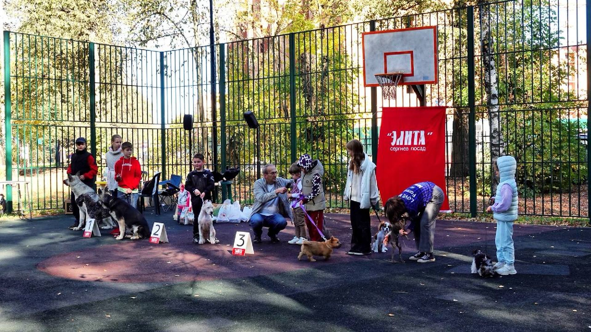 Щенки, Элита, Сергиев Посад, Парки МО, Парк, Собаки,Животные,