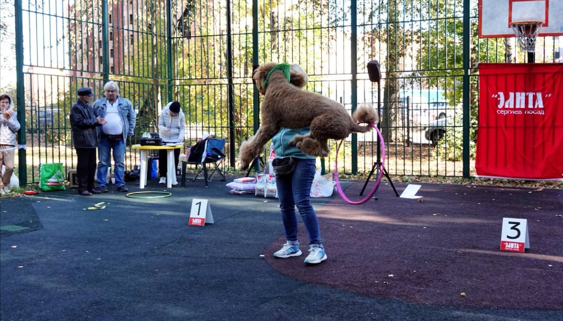 Щенки, Элита, Сергиев Посад, Парки МО, Парк, Собаки,Животные,