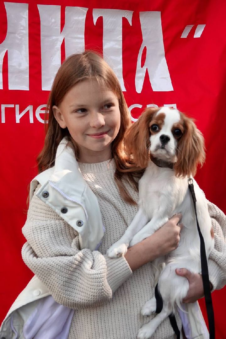 Щенки, Элита, Сергиев Посад, Парки МО, Парк, Собаки,Животные,