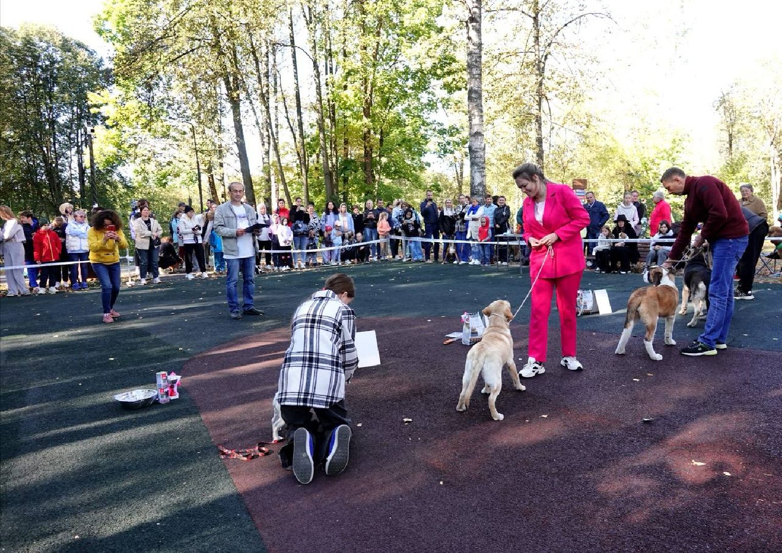 Щенки, Элита, Сергиев Посад, Парки МО, Парк, Собаки,Животные,