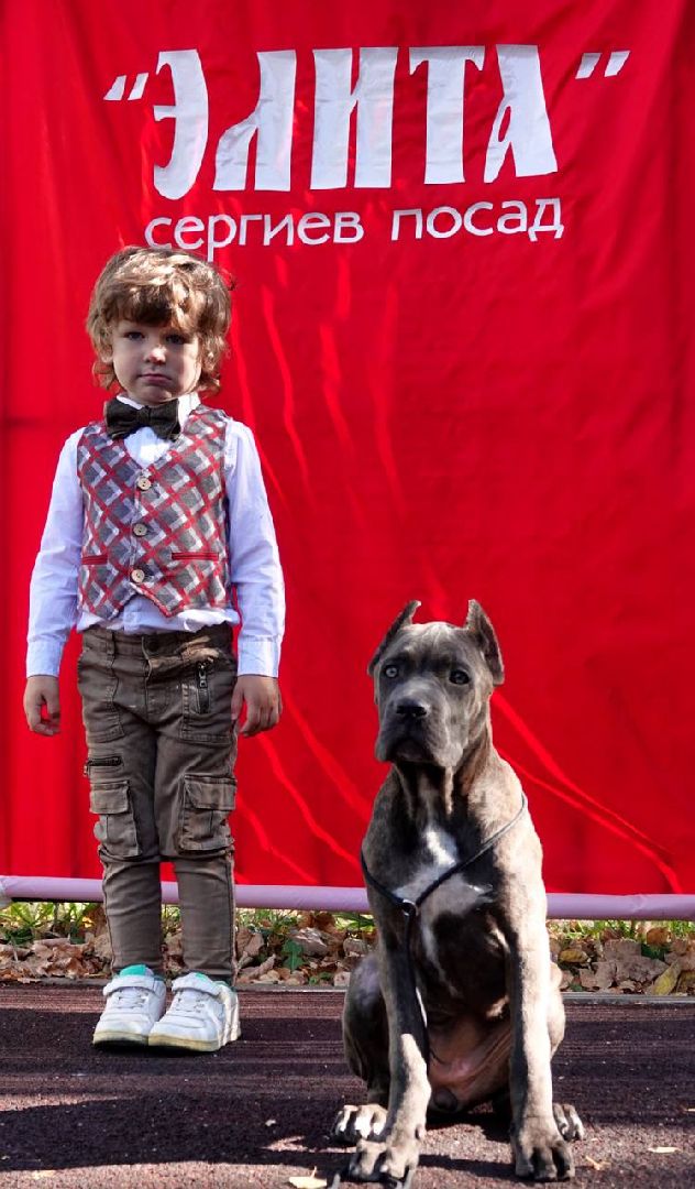 Щенки, Элита, Сергиев Посад, Парки МО, Парк, Собаки,Животные,