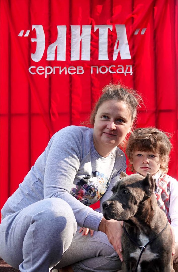 Щенки, Элита, Сергиев Посад, Парки МО, Парк, Собаки,Животные,