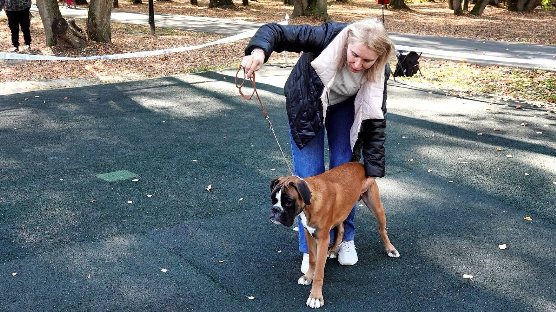 Щенки, Элита, Сергиев Посад, Парки МО, Парк, Собаки,Животные,