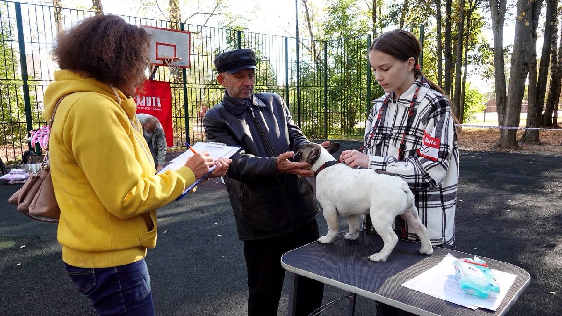 Щенки, Элита, Сергиев Посад, Парки МО, Парк, Собаки,Животные,
