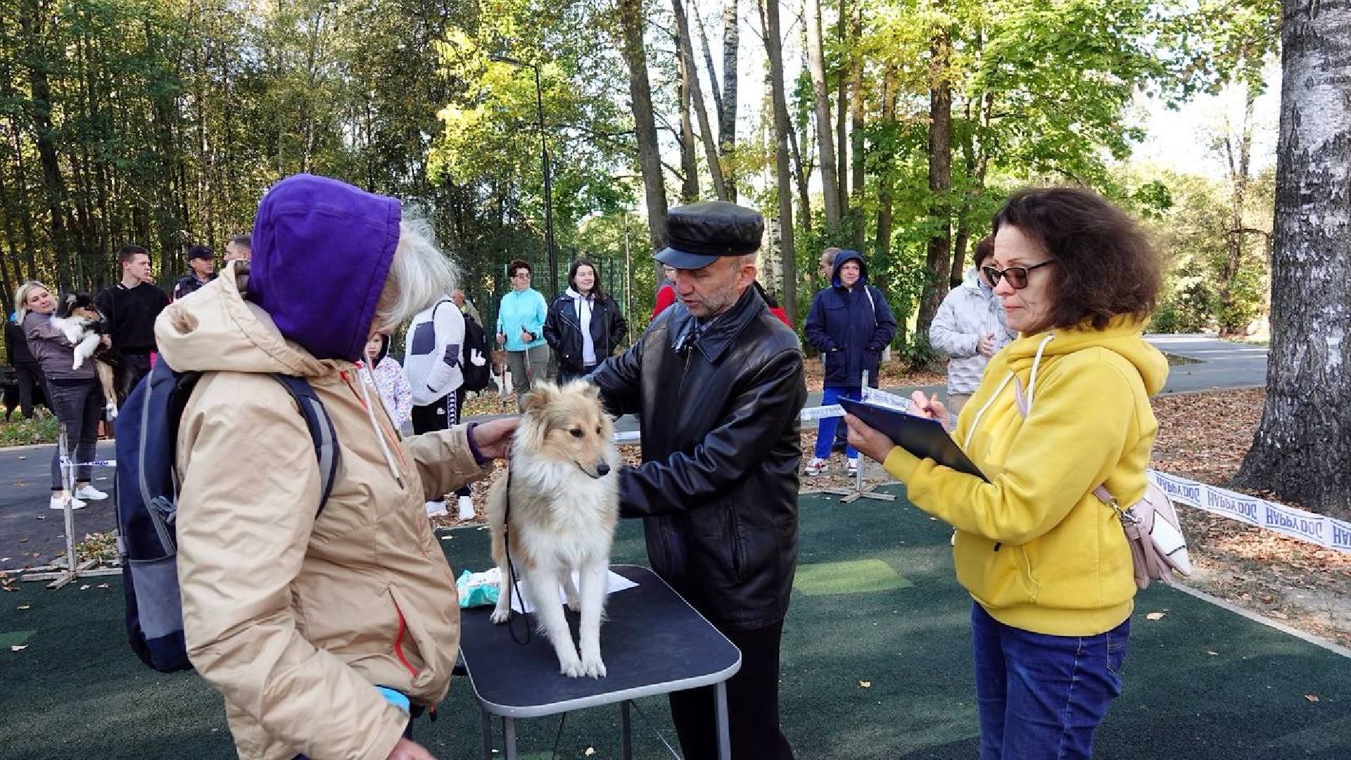 Щенки, Элита, Сергиев Посад, Парки МО, Парк, Собаки,Животные,