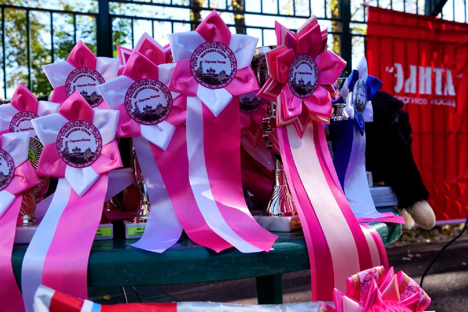 Щенки, Элита, Сергиев Посад, Парки МО, Парк, Собаки,Животные,