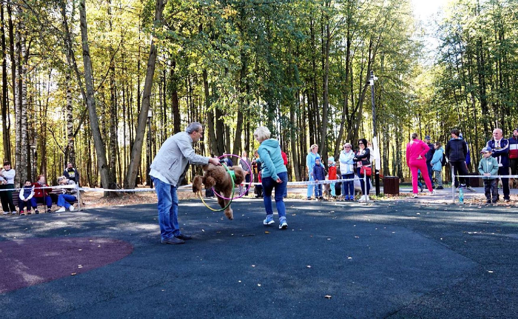 Щенки, Элита, Сергиев Посад, Парки МО, Парк, Собаки,Животные,