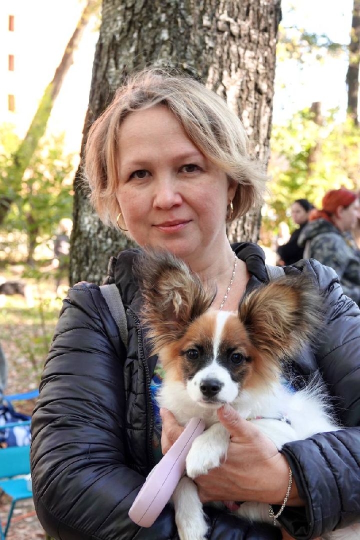 Щенки, Элита, Сергиев Посад, Парки МО, Парк, Собаки,Животные,