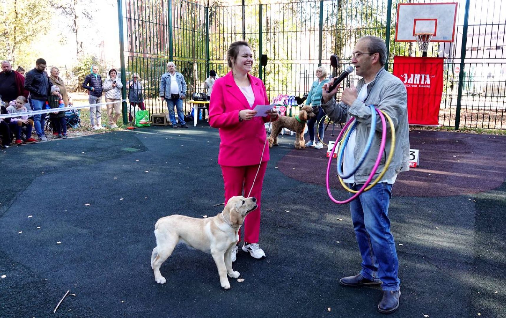 Щенки, Элита, Сергиев Посад, Парки МО, Парк, Собаки,Животные,