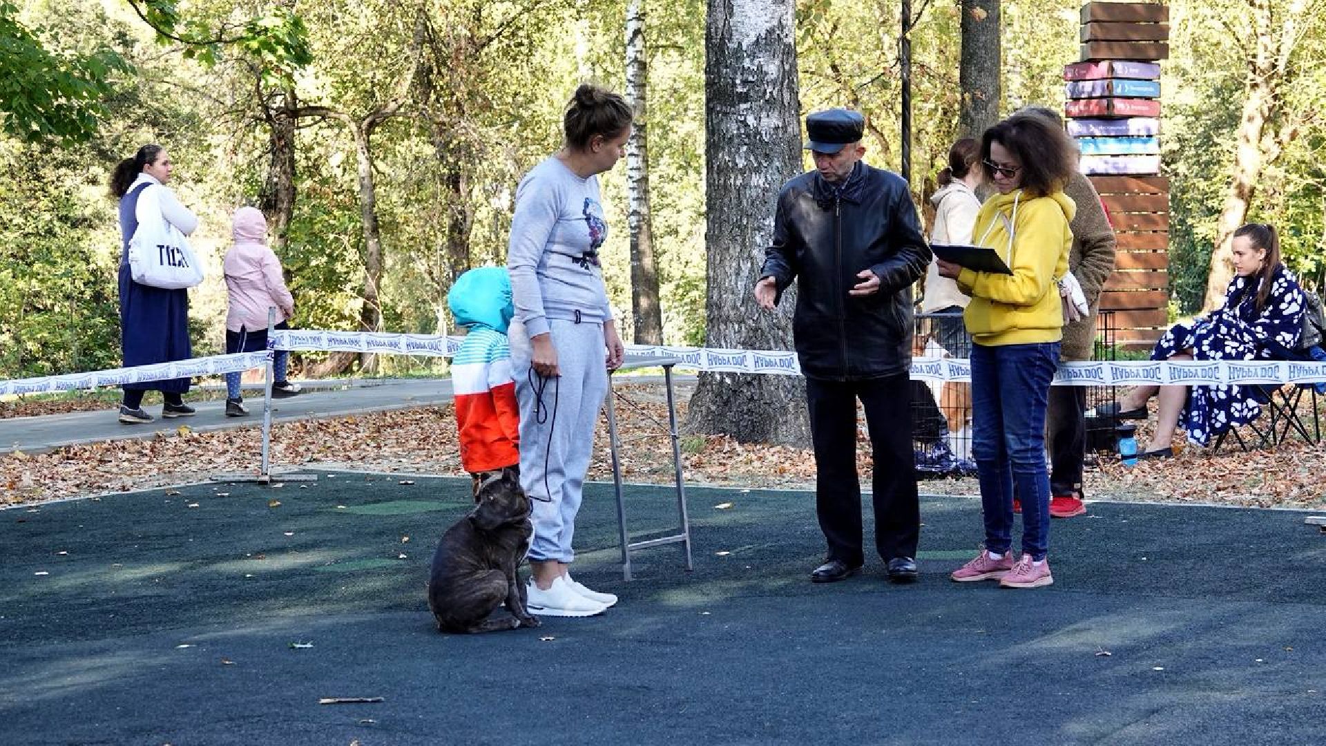 Щенки, Элита, Сергиев Посад, Парки МО, Парк, Собаки,Животные,