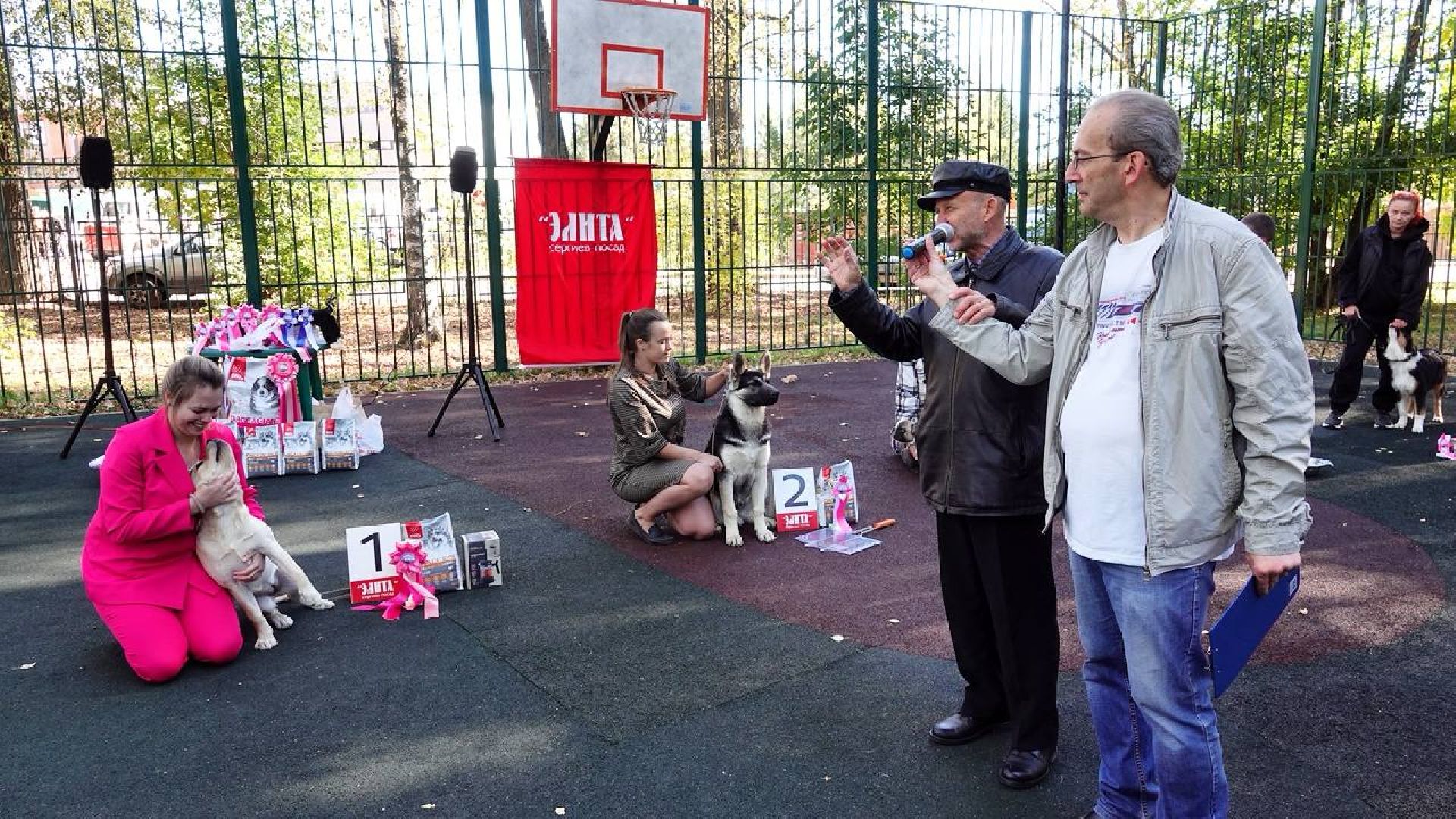 Щенки, Элита, Сергиев Посад, Парки МО, Парк, Собаки,Животные,