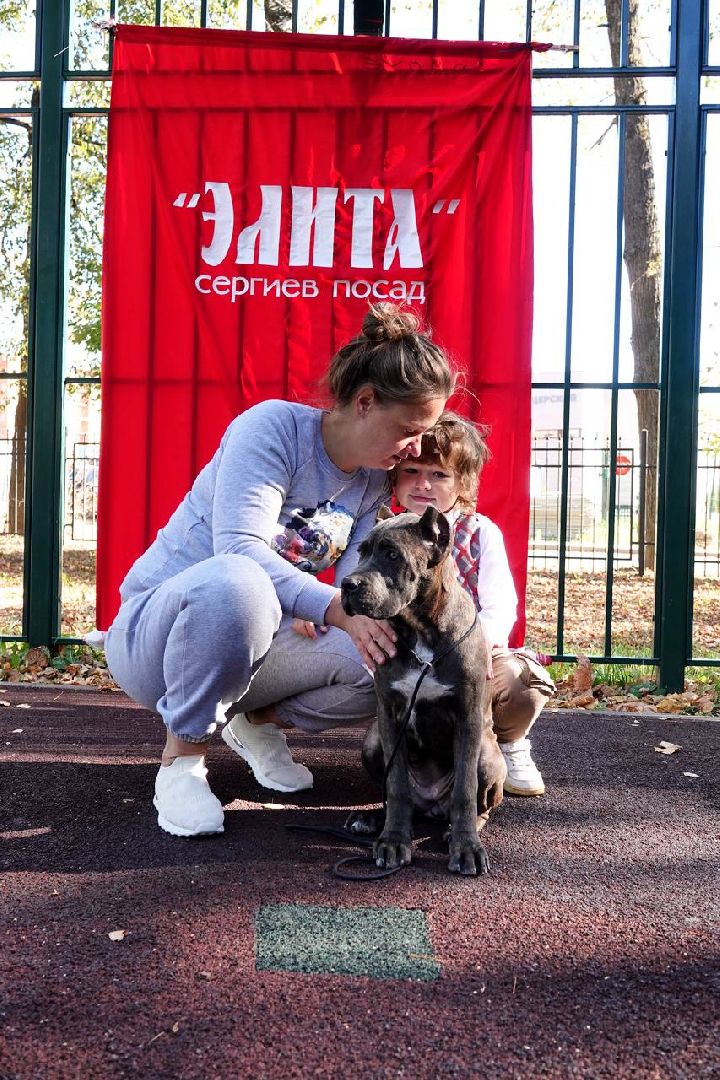 Щенки, Элита, Сергиев Посад, Парки МО, Парк, Собаки,Животные,