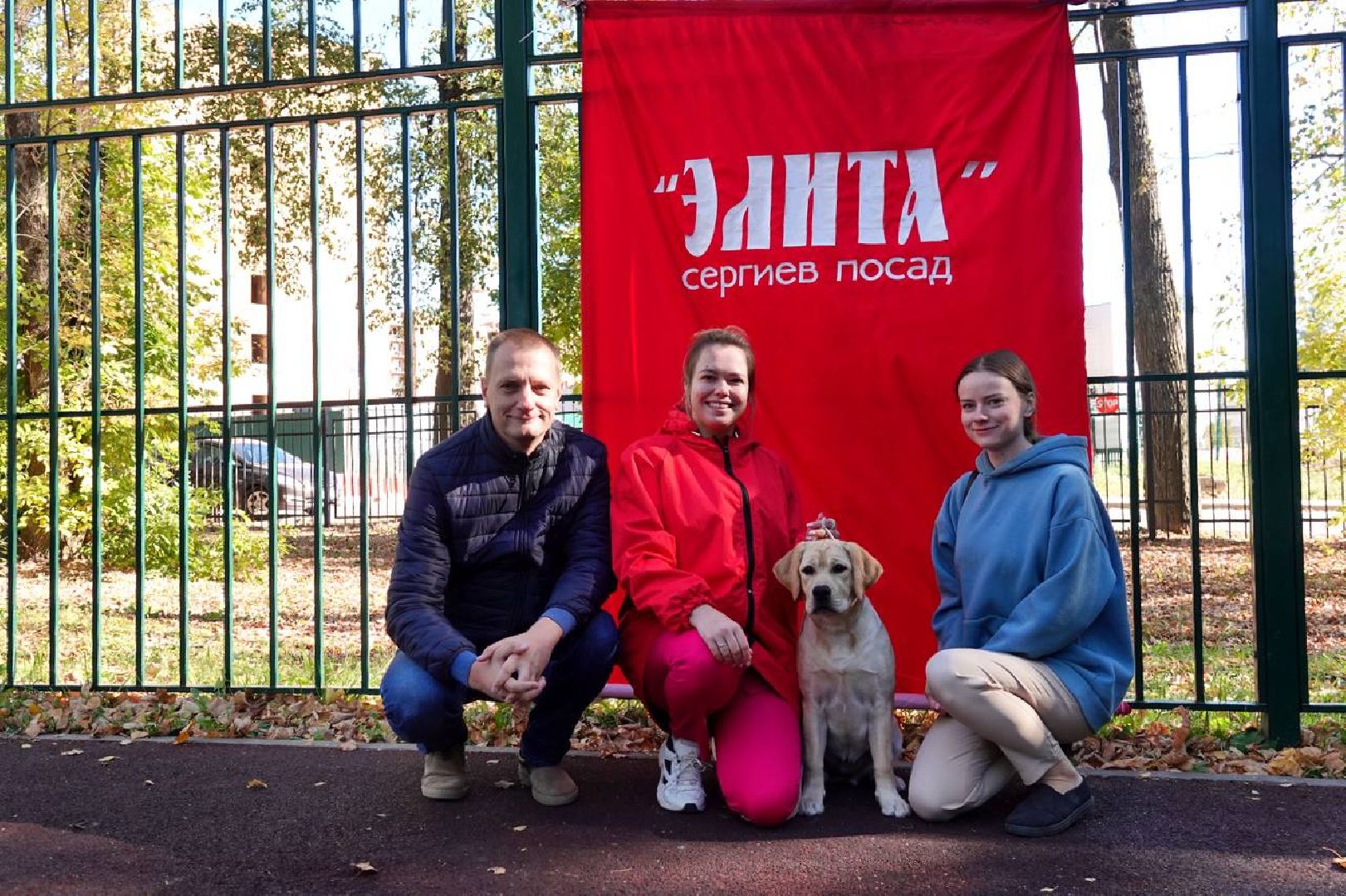 Щенки, Элита, Сергиев Посад, Парки МО, Парк, Собаки,Животные,