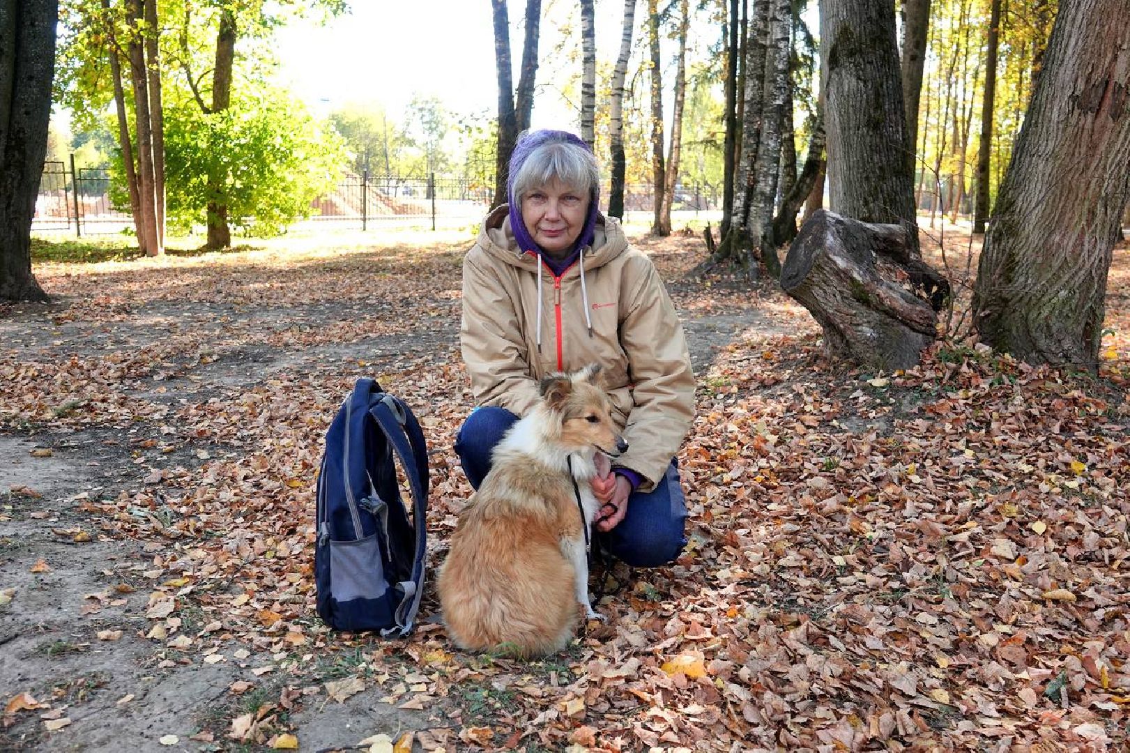 Щенки, Элита, Сергиев Посад, Парки МО, Парк, Собаки,Животные,