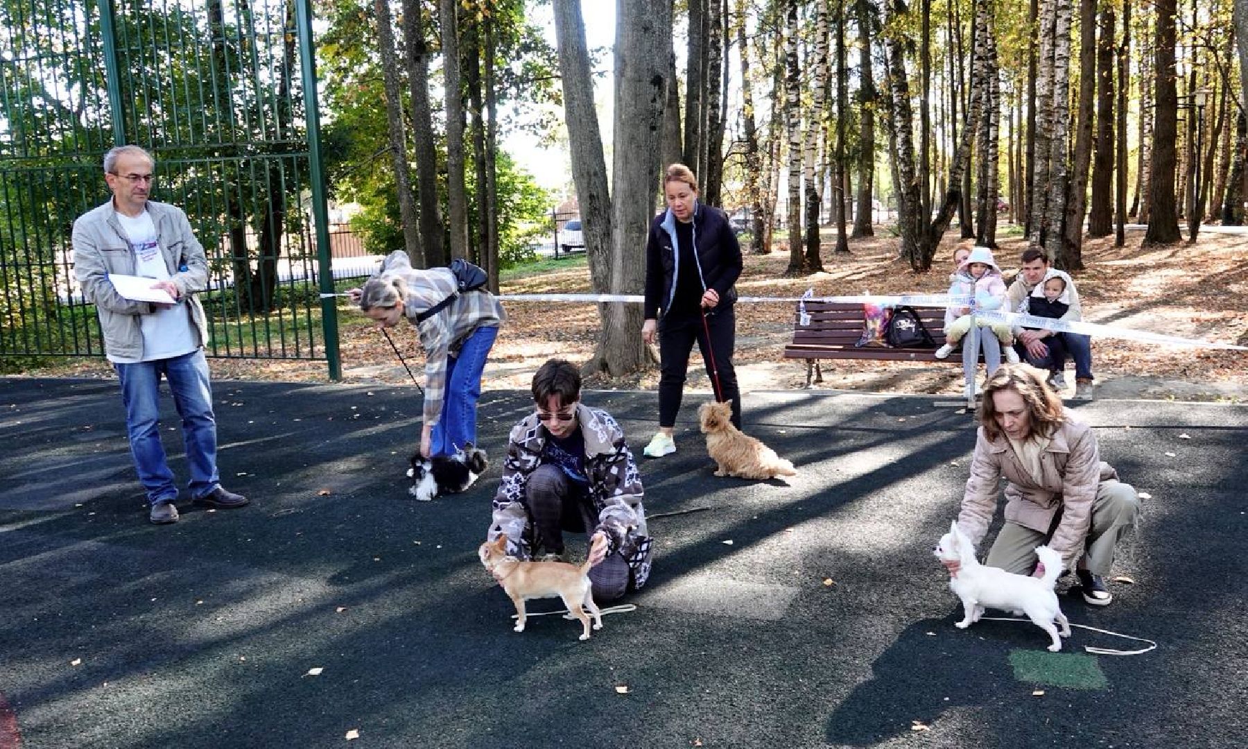 Щенки, Элита, Сергиев Посад, Парки МО, Парк, Собаки,Животные,