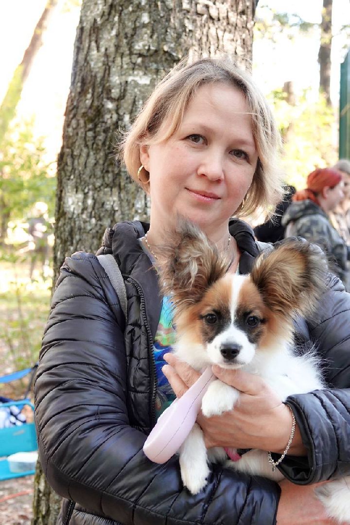 Щенки, Элита, Сергиев Посад, Парки МО, Парк, Собаки,Животные,