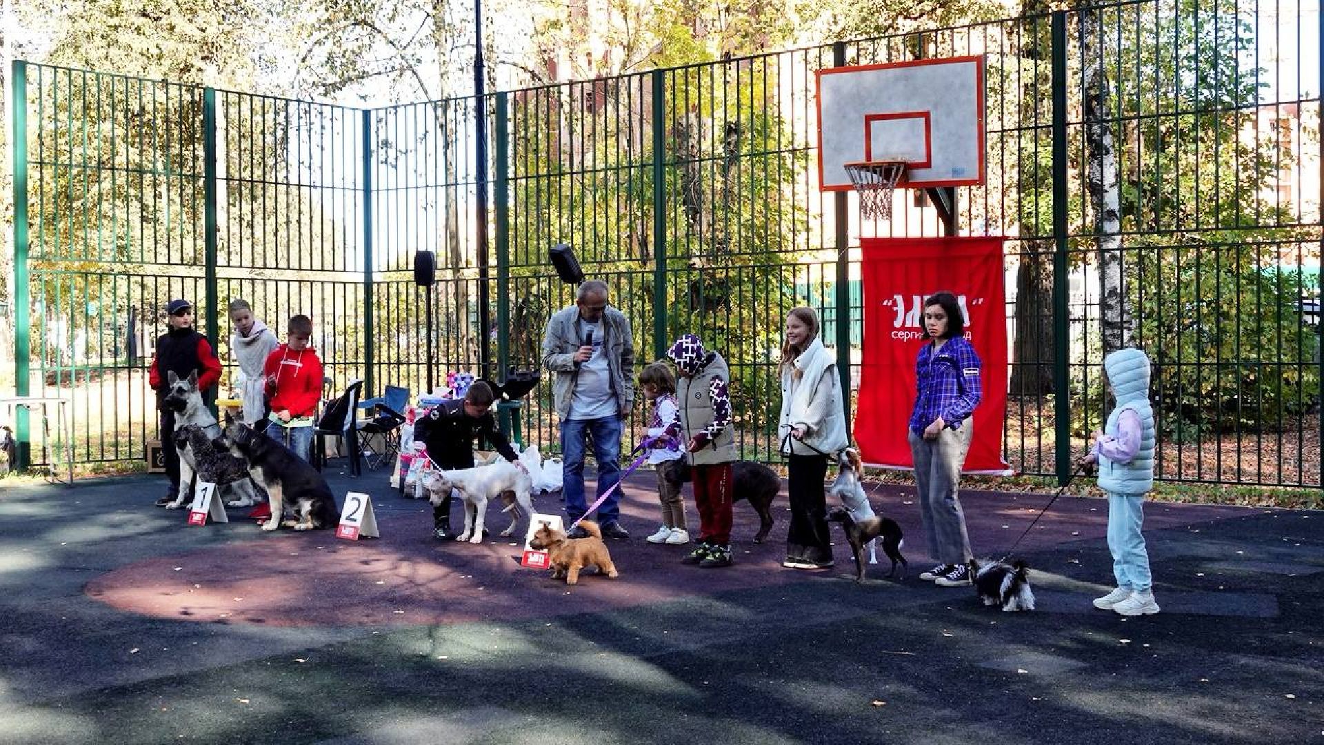 Щенки, Элита, Сергиев Посад, Парки МО, Парк, Собаки,Животные,