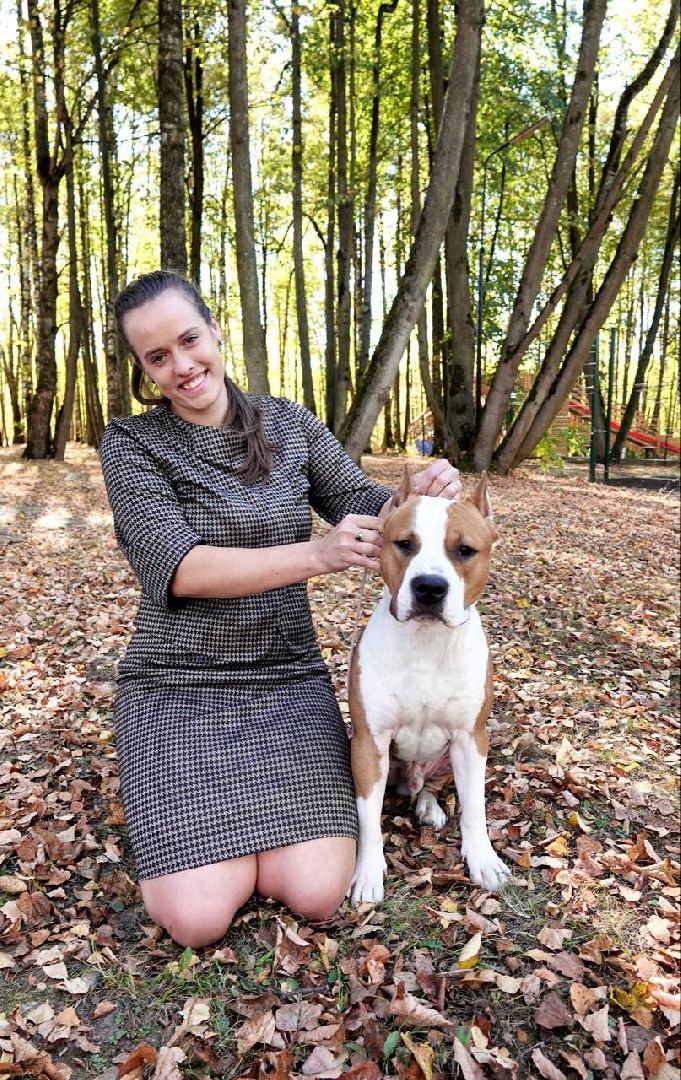 Щенки, Элита, Сергиев Посад, Парки МО, Парк, Собаки,Животные,