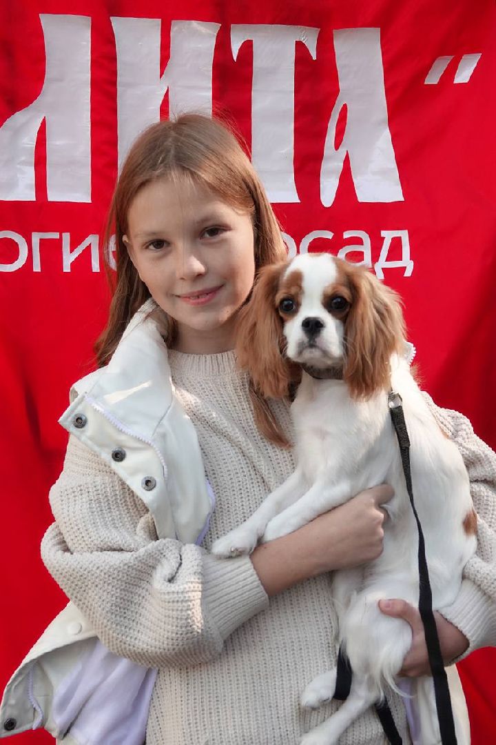 Щенки, Элита, Сергиев Посад, Парки МО, Парк, Собаки,Животные,