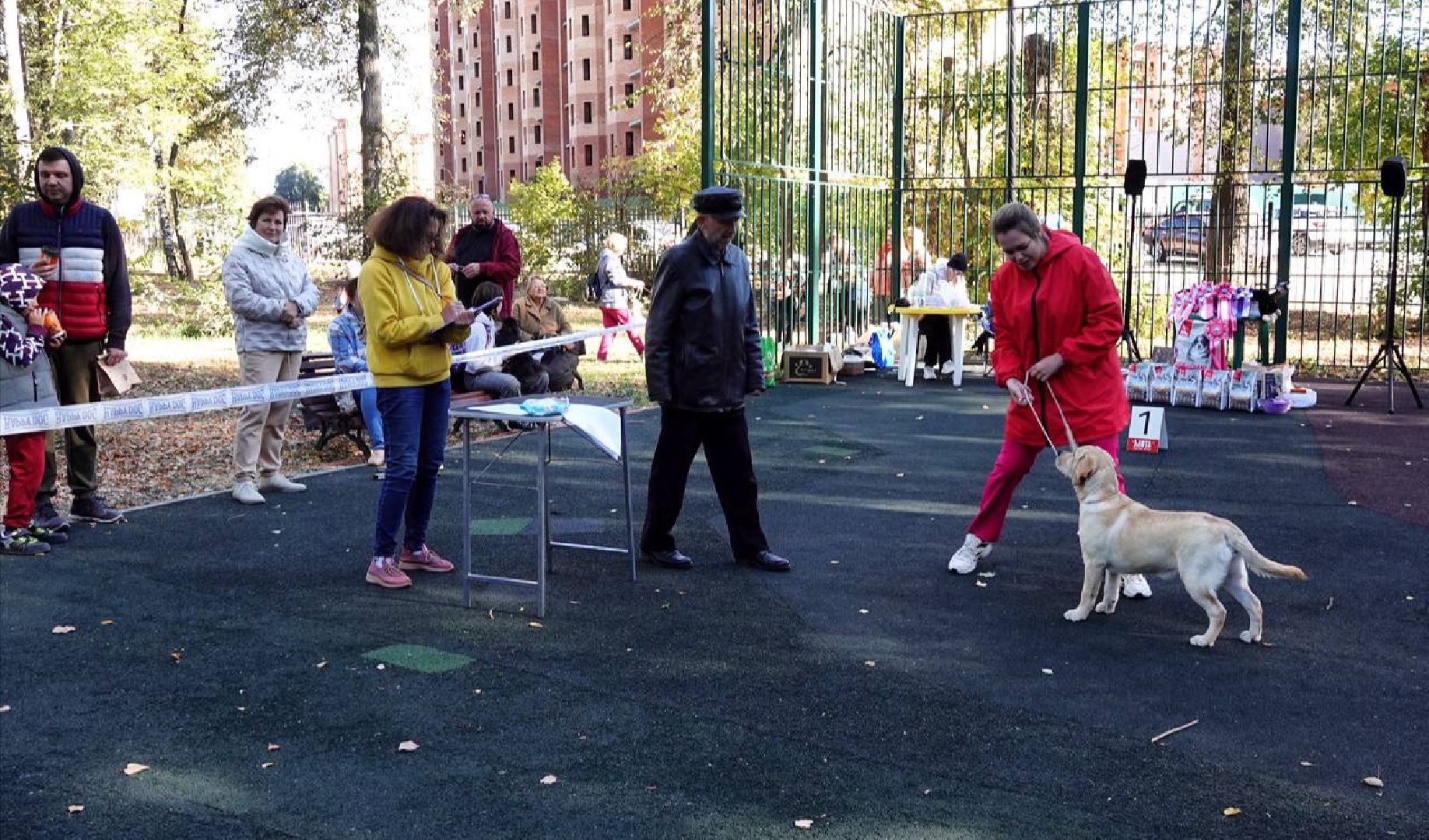 Щенки, Элита, Сергиев Посад, Парки МО, Парк, Собаки,Животные,