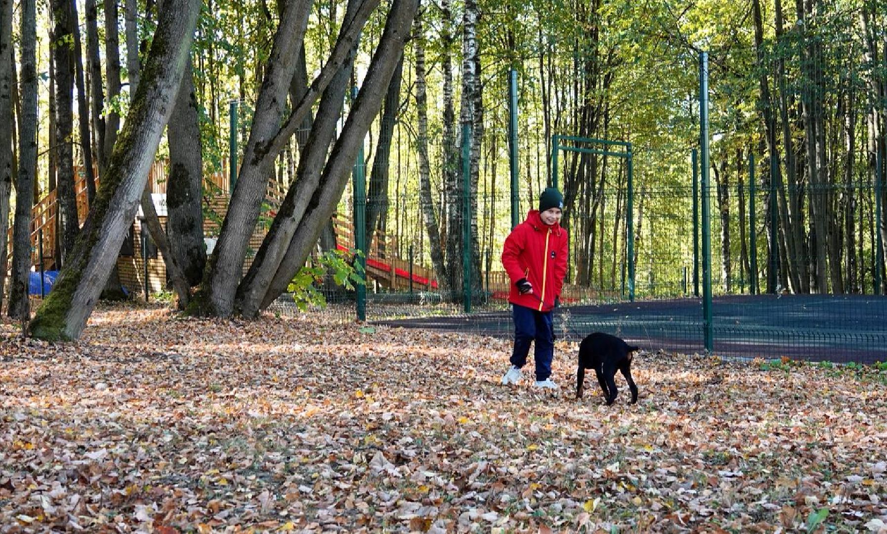 Щенки, Элита, Сергиев Посад, Парки МО, Парк, Собаки,Животные,