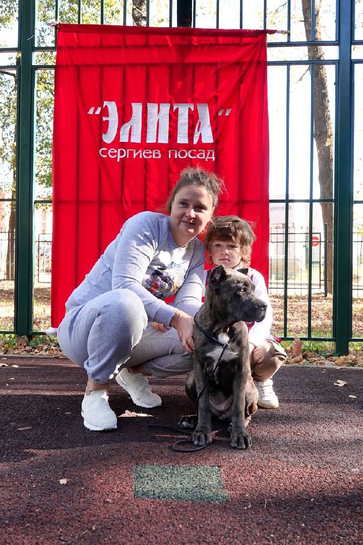 Щенки, Элита, Сергиев Посад, Парки МО, Парк, Собаки,Животные,