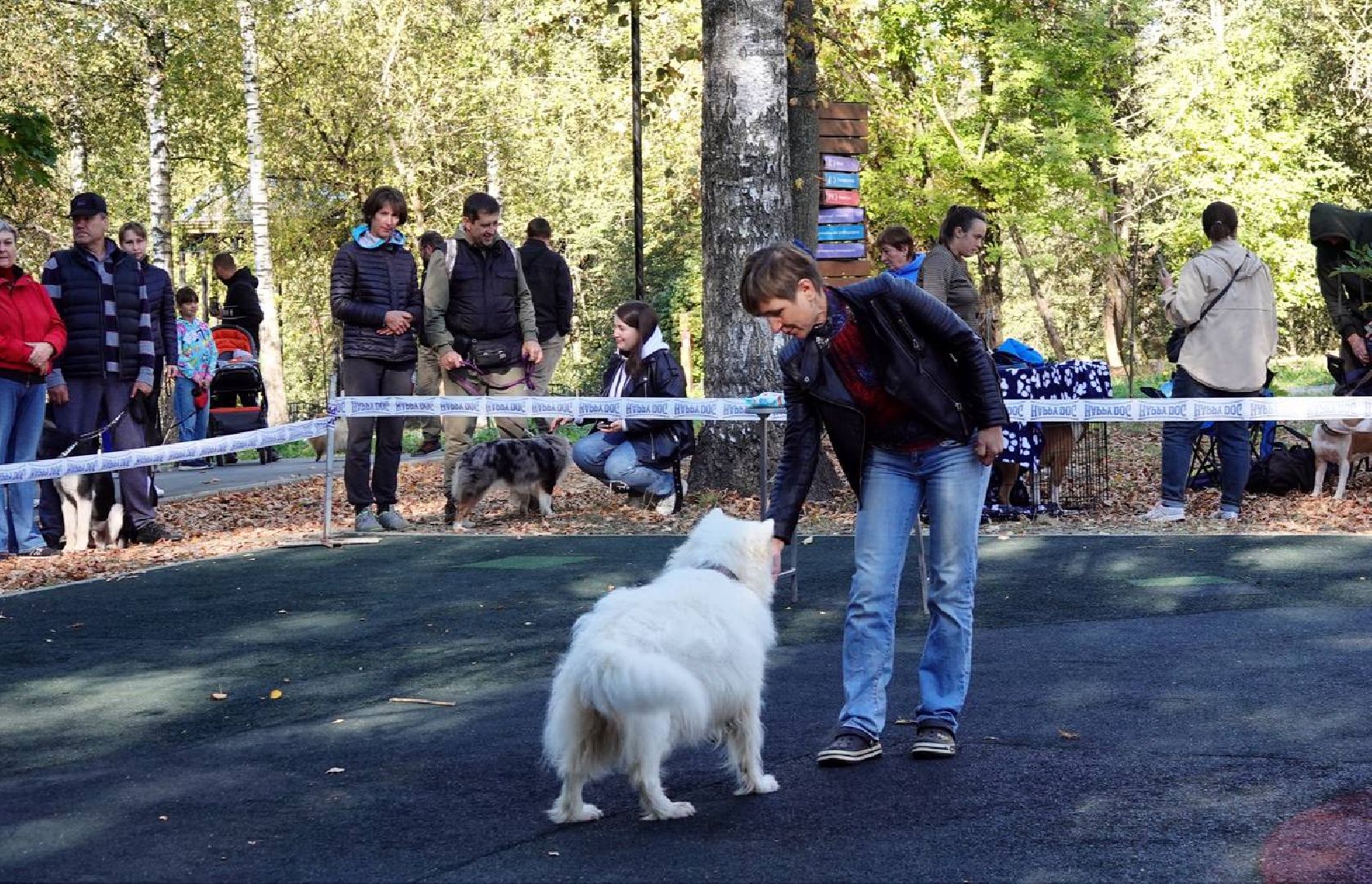 Щенки, Элита, Сергиев Посад, Парки МО, Парк, Собаки,Животные,
