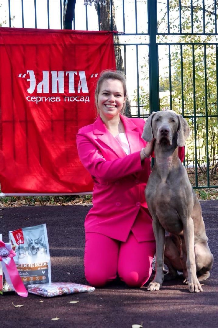 Щенки, Элита, Сергиев Посад, Парки МО, Парк, Собаки,Животные,