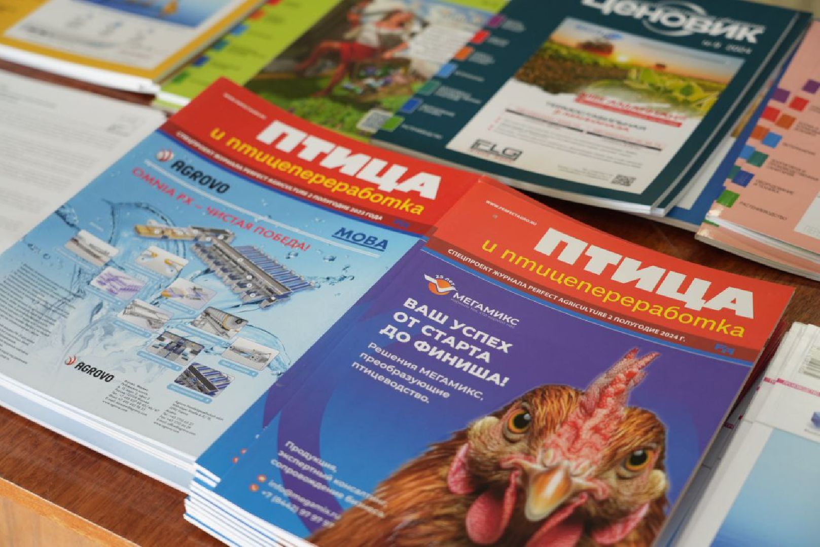 Сельское хозяйство, Птицеводство, Сергиев Посад, ВНИТИП,