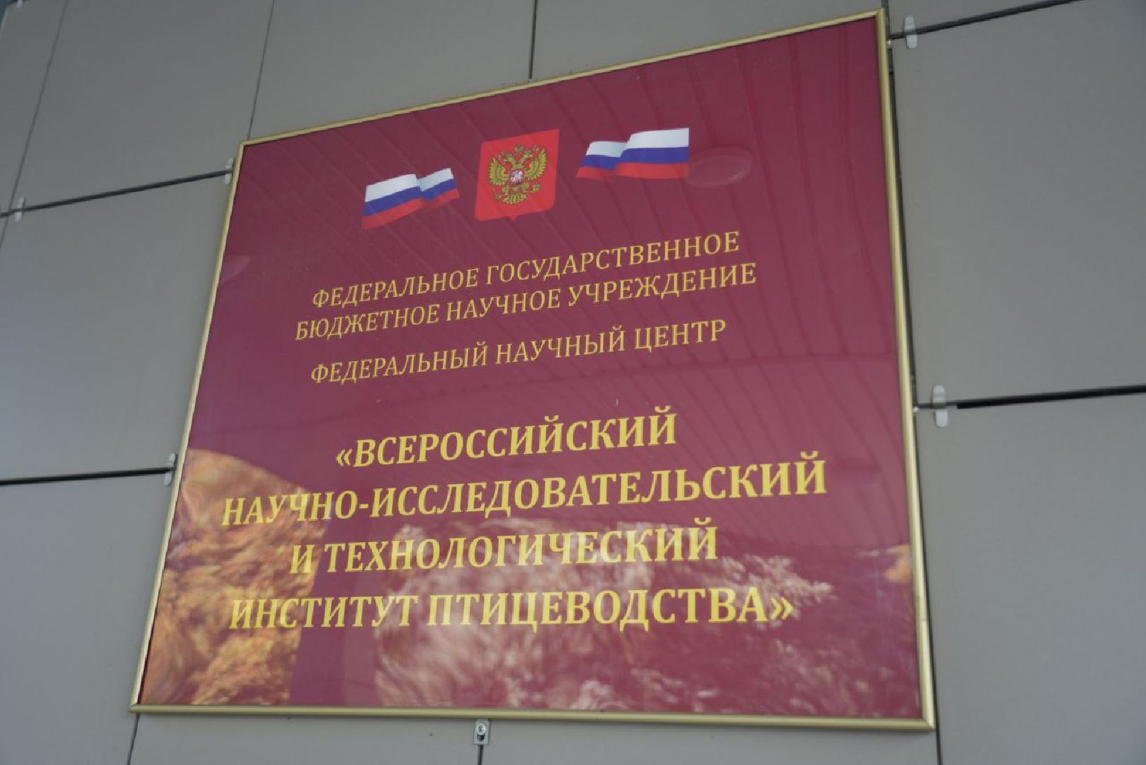 Сельское хозяйство, Птицеводство, Сергиев Посад, ВНИТИП,