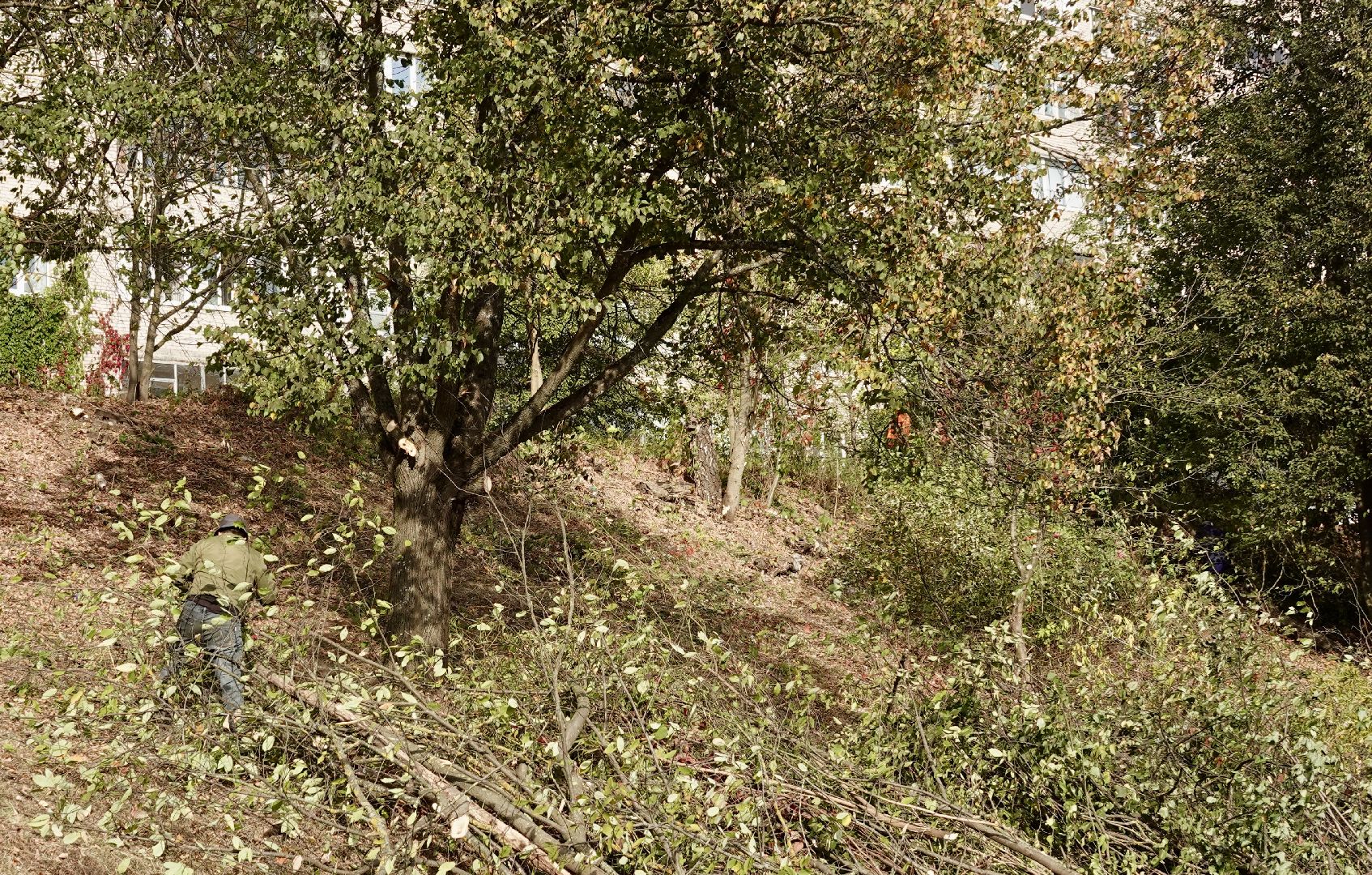 Спорт, Реконструкция стадиона, Областная программа, Спорт МО,