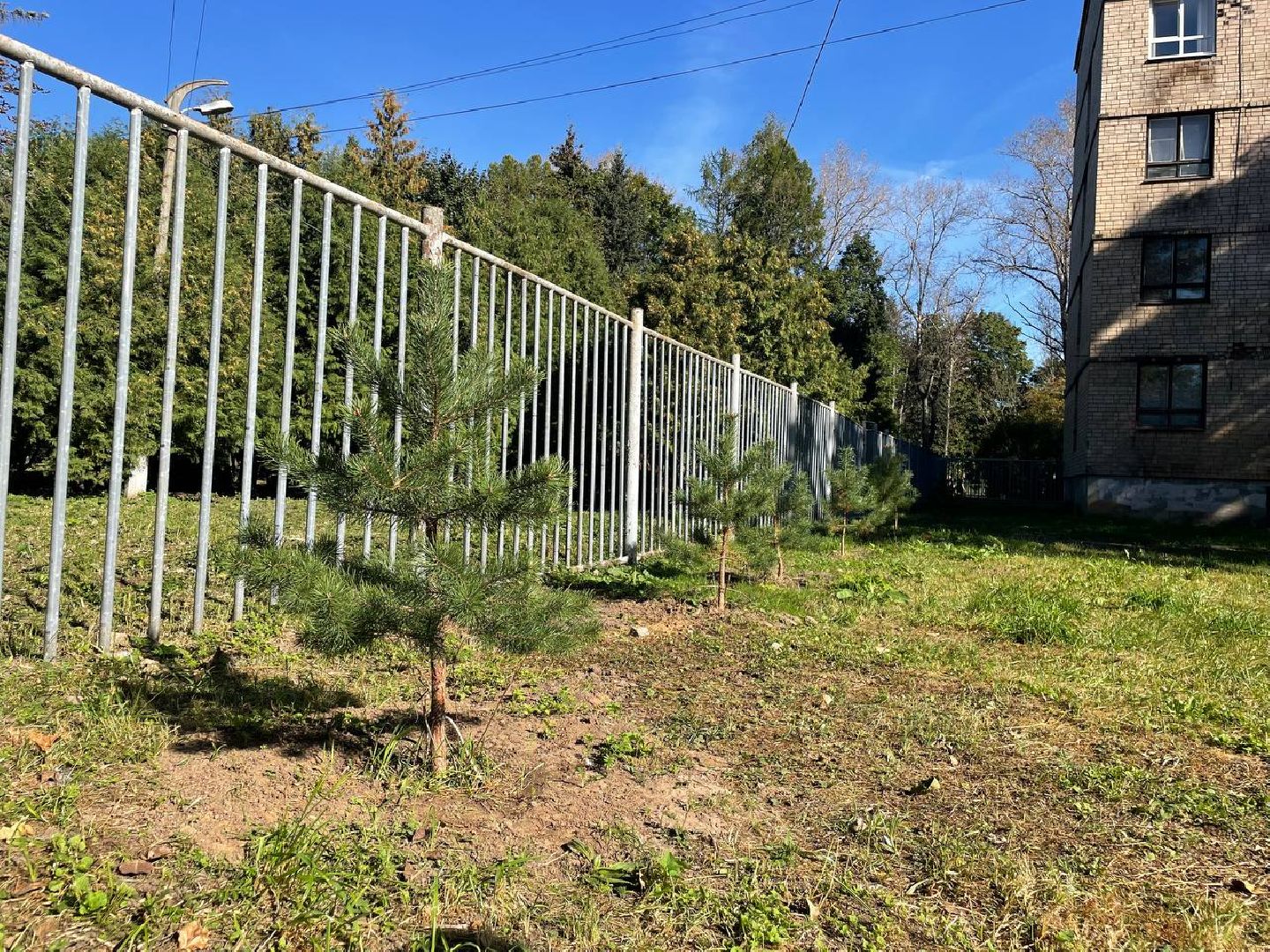 Дмитров, Дмитровский техникум, СВО,