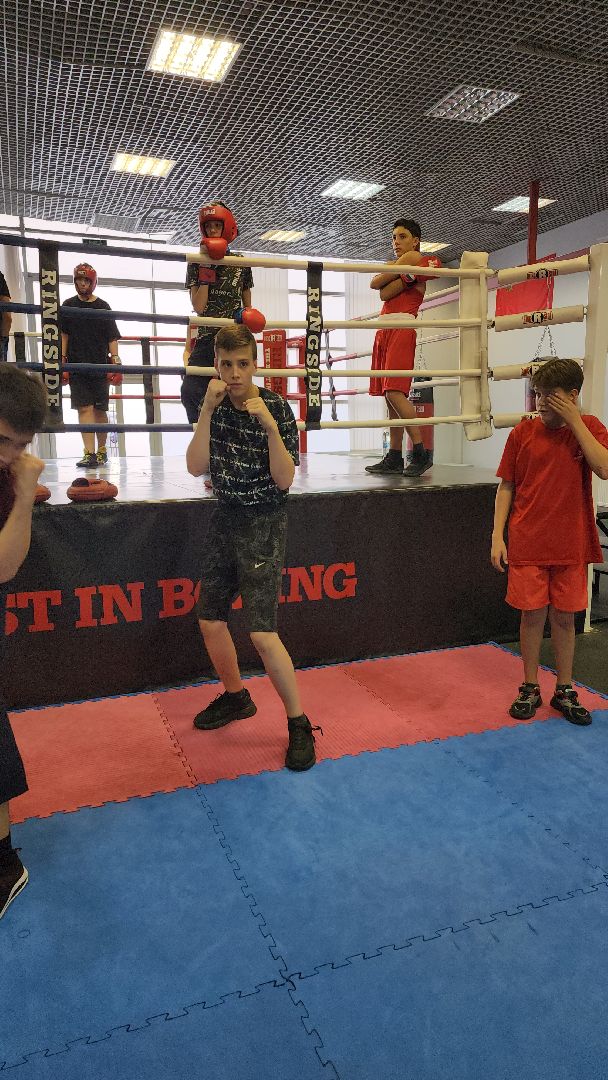 бокс, спорт, химки,