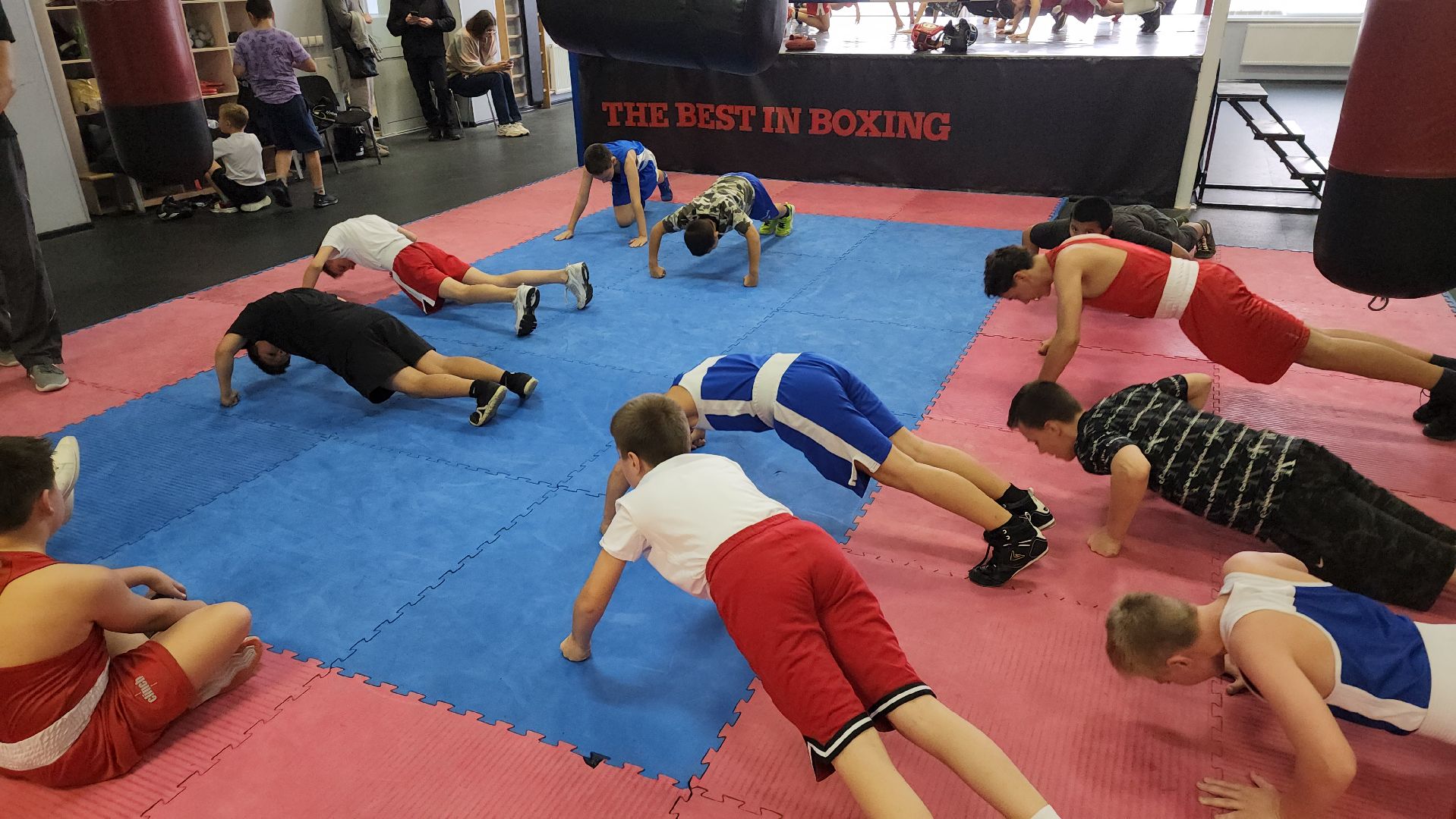 бокс, спорт, химки,