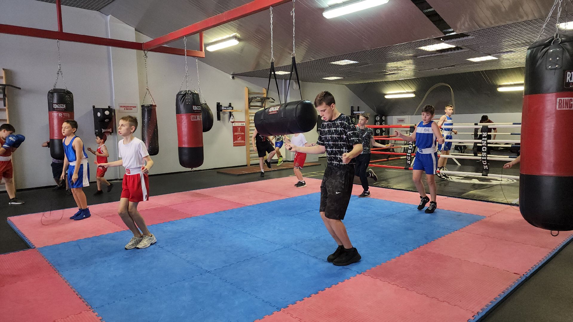 бокс, спорт, химки,