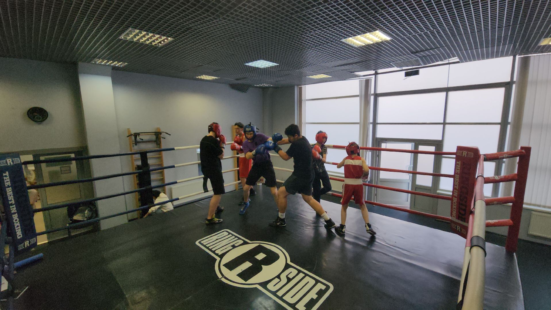 бокс, спорт, химки,