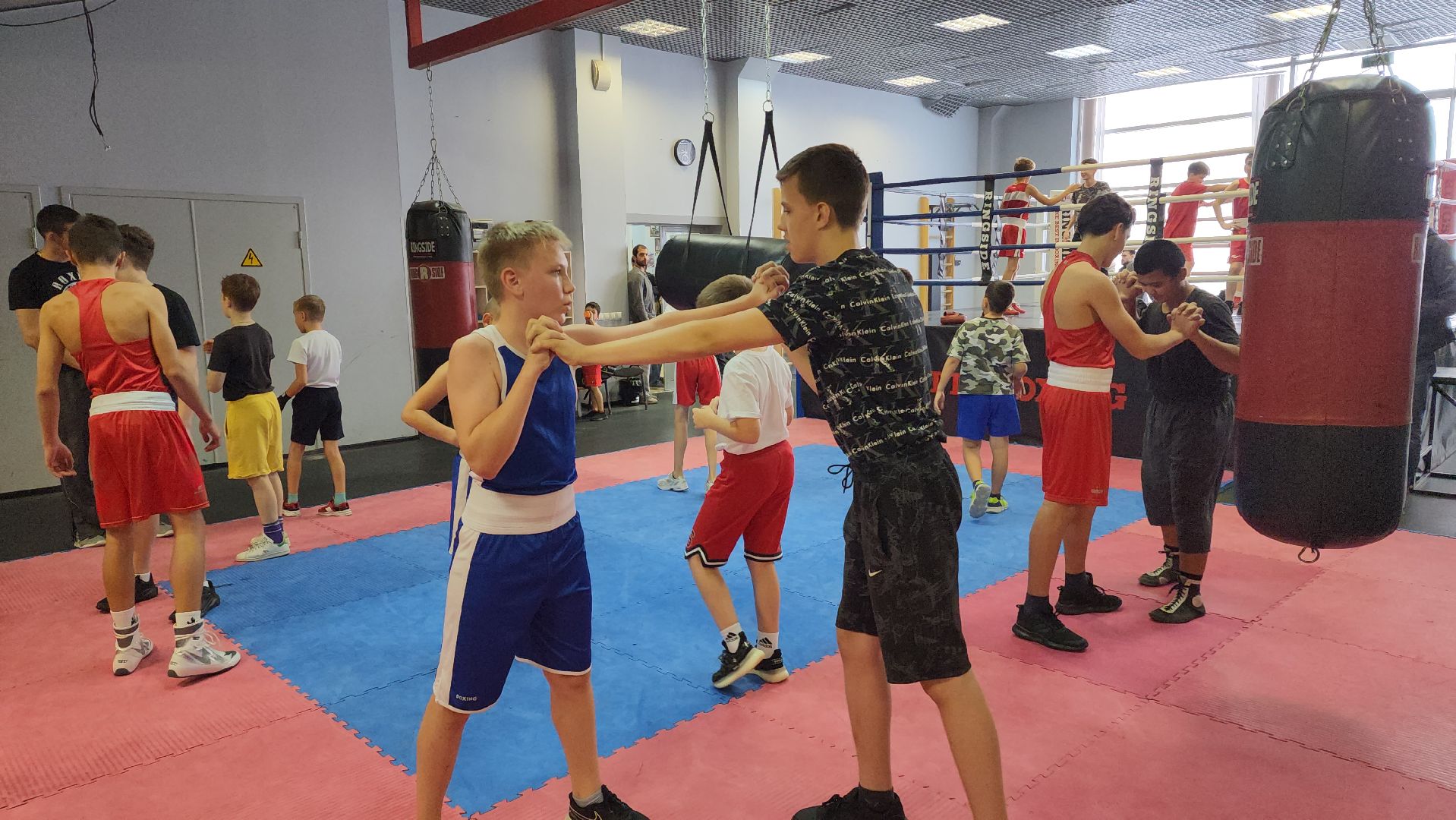 бокс, спорт, химки,