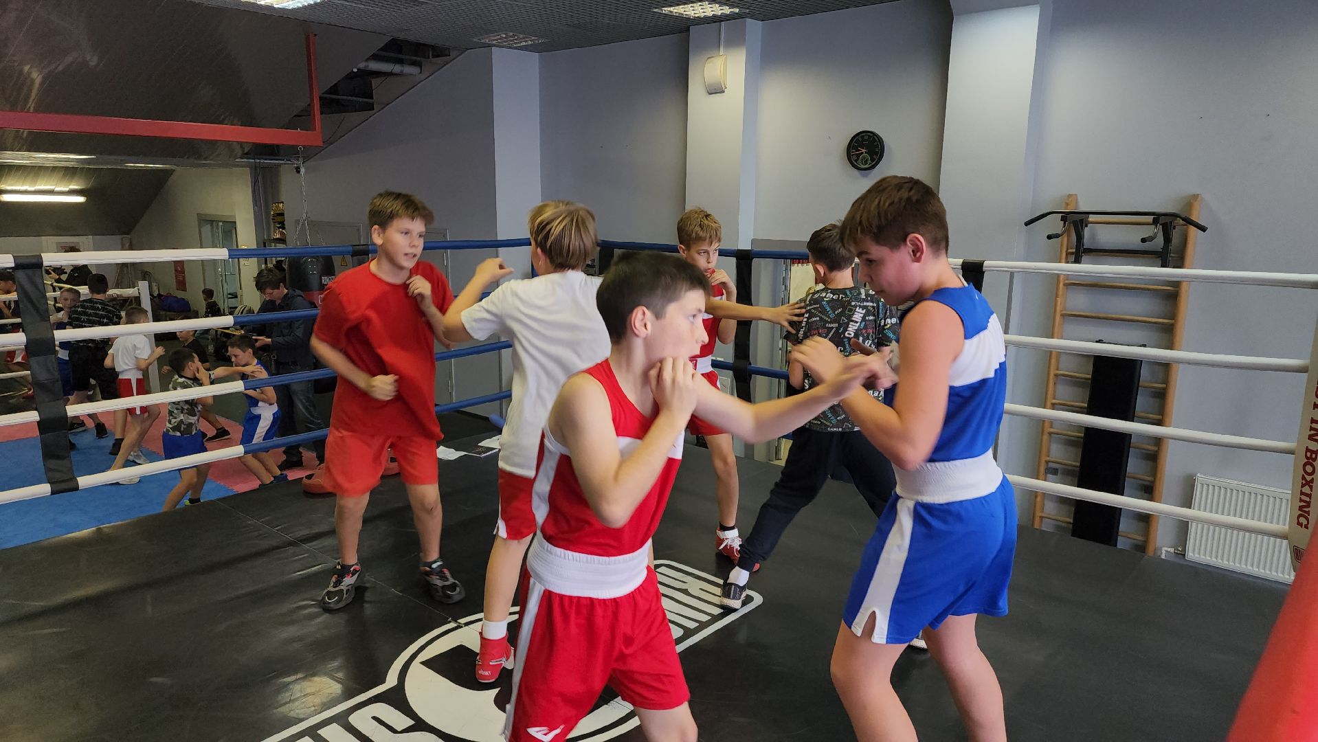 бокс, спорт, химки,