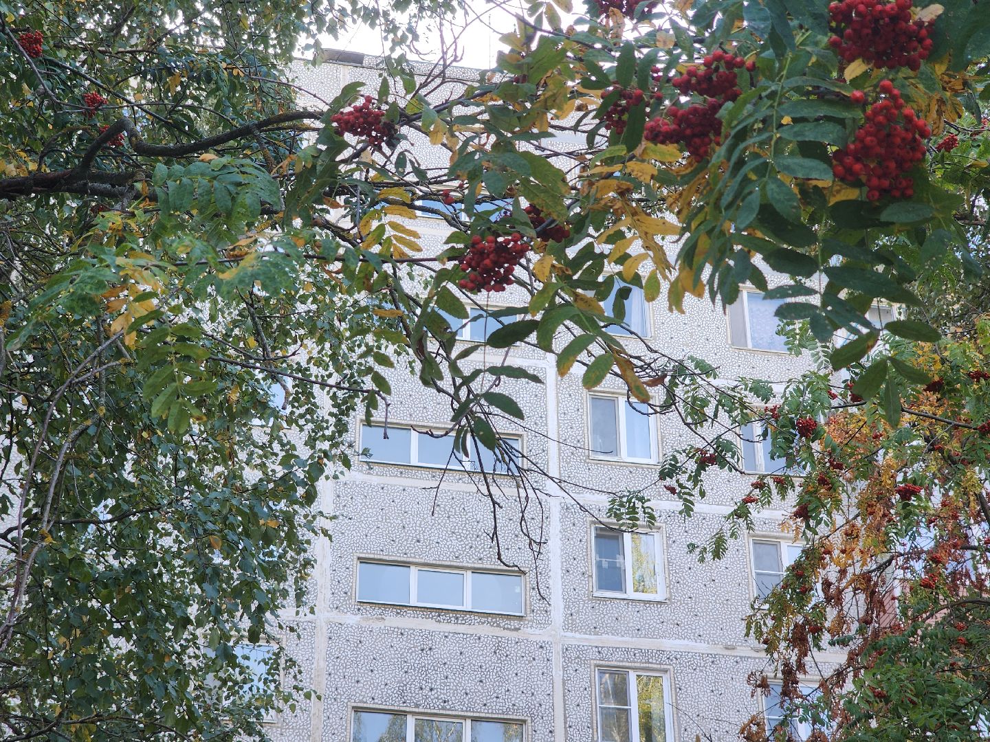 отопительный сезон 2024-2025, орехово-зуевский округ,