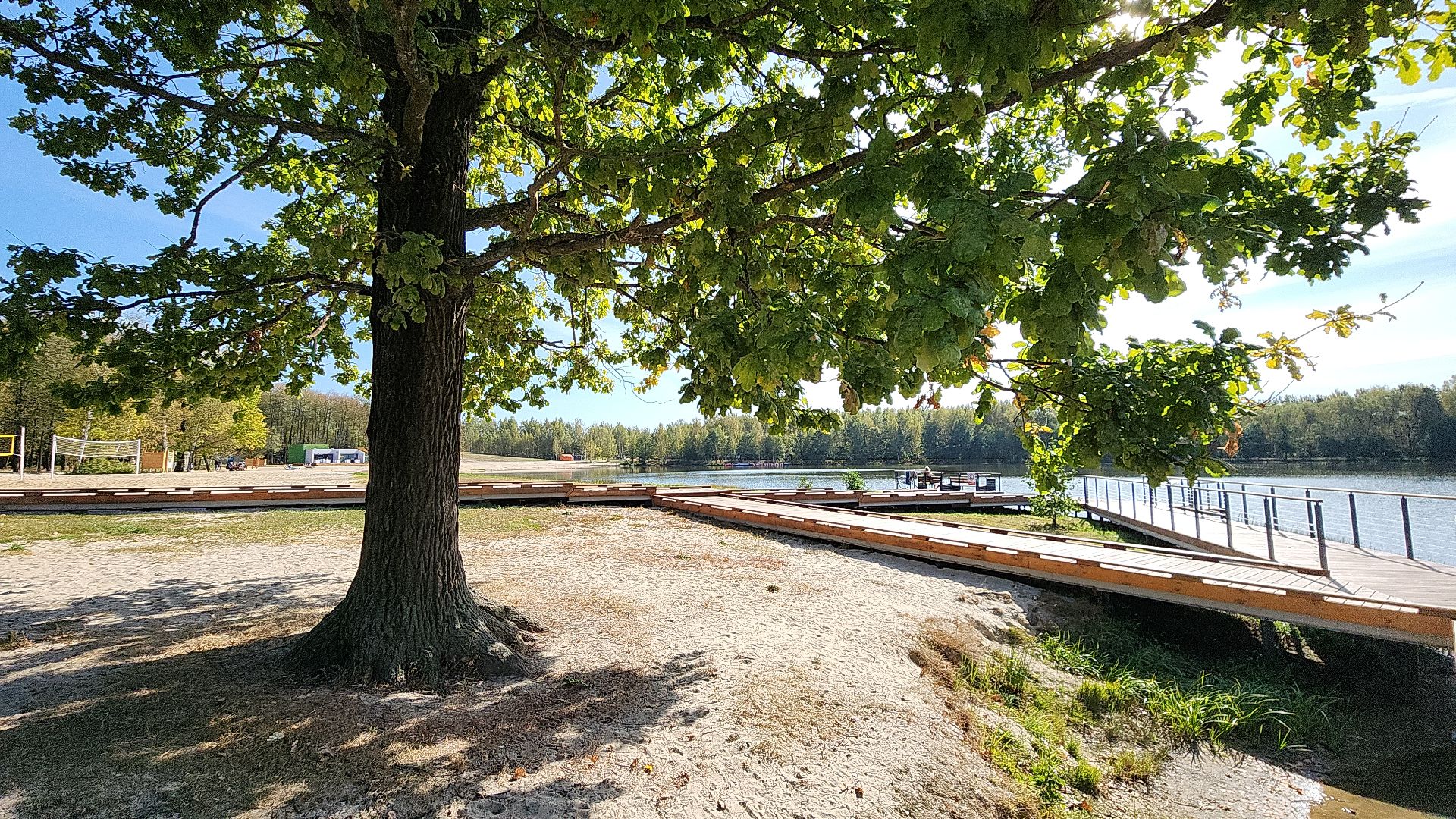 парк авангард, парки подмосковья, лето в подмосковье, электросталь, прокат лодок, жители города, летний сезон,