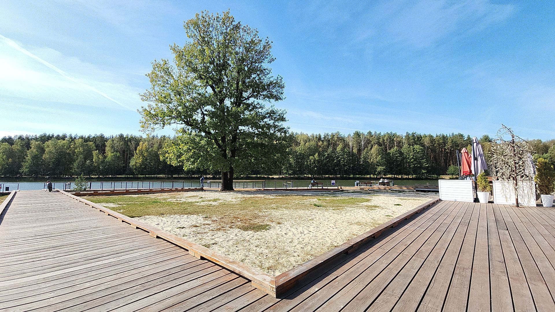 парк авангард, парки подмосковья, лето в подмосковье, электросталь, прокат лодок, жители города, летний сезон,