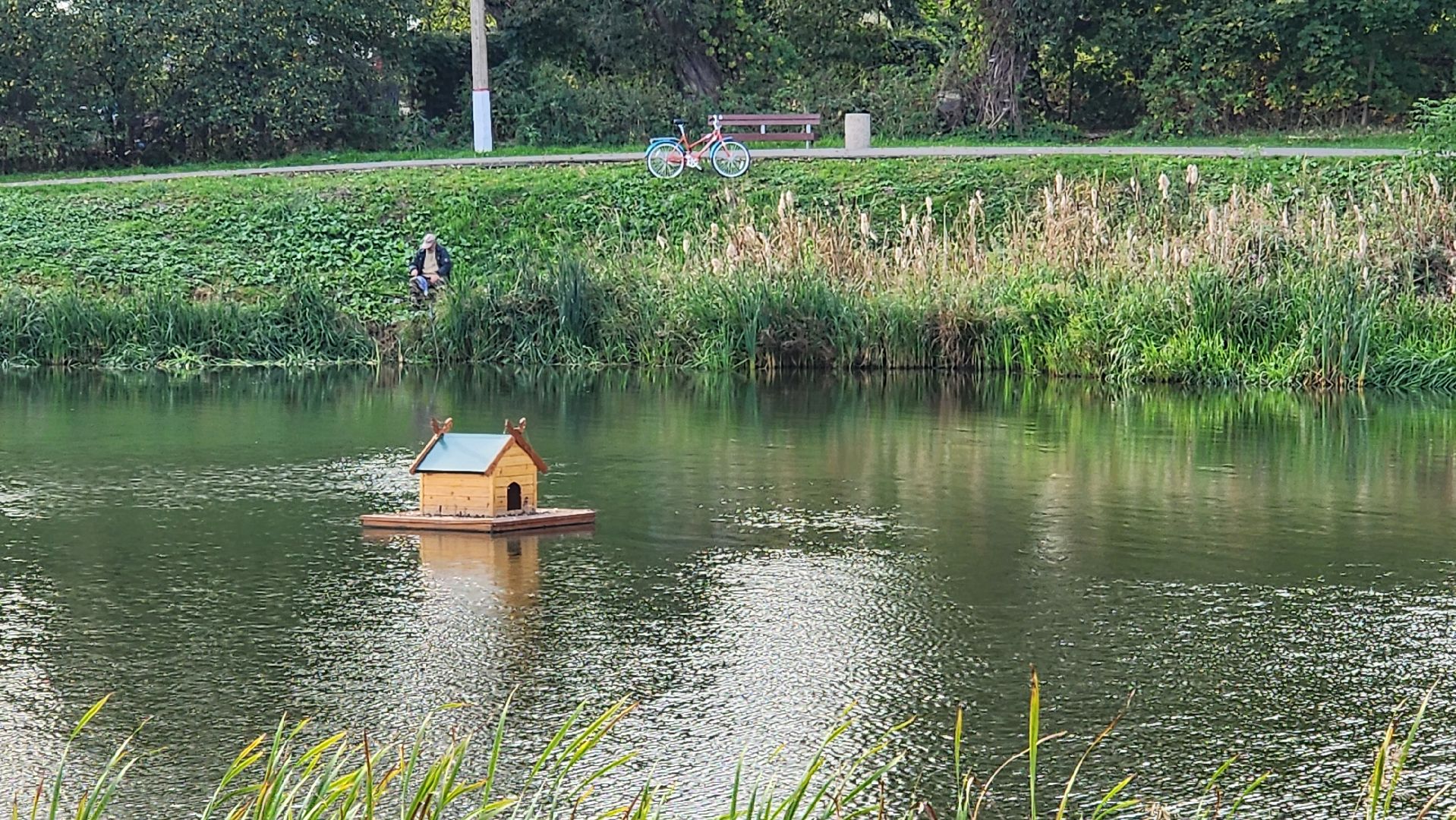 Бронницы, Парк Бронницкий Луг, Активное долголетие, Обустройство парка,
