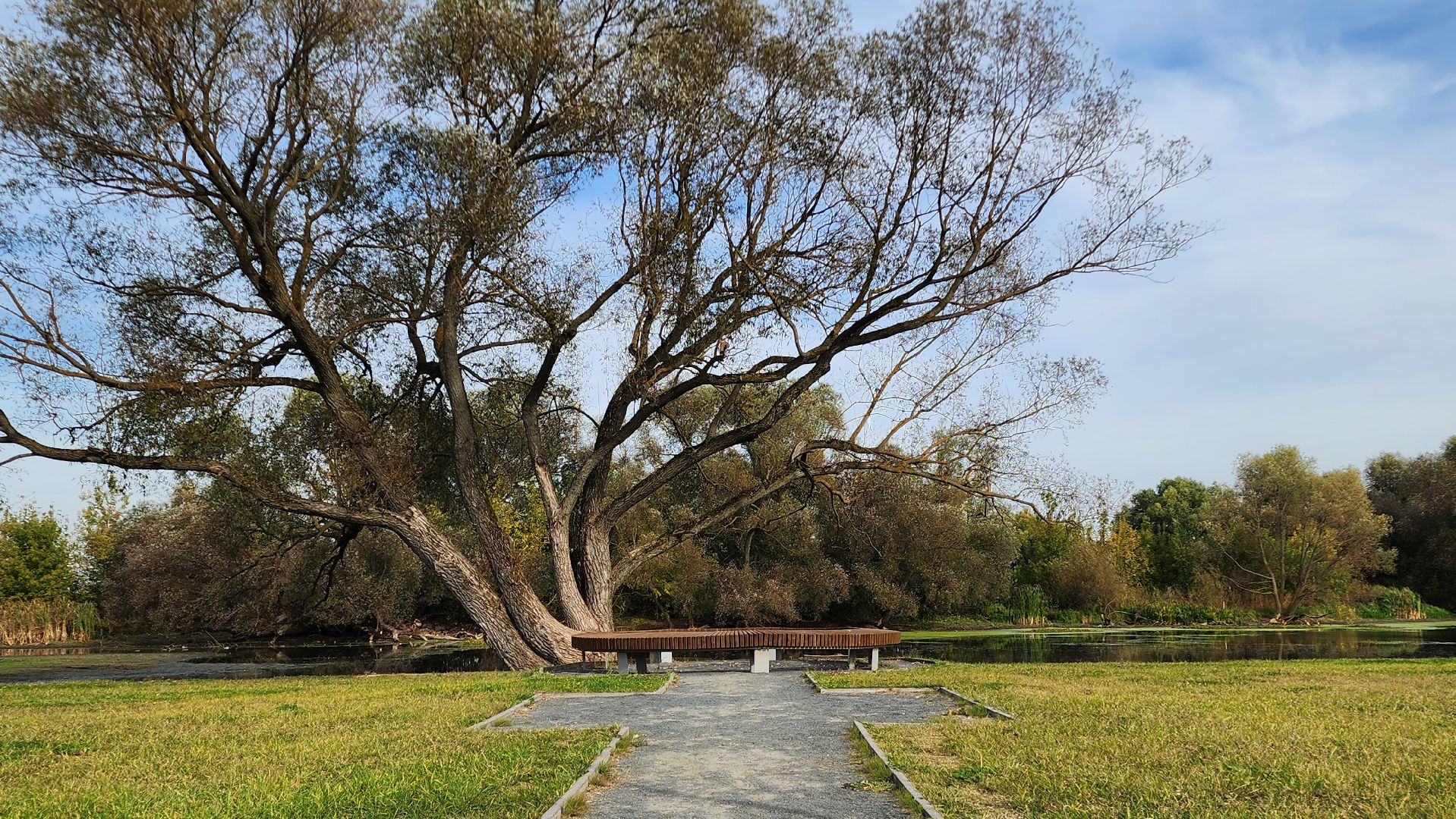 Бронницы, Парк Бронницкий Луг, Активное долголетие, Обустройство парка,